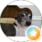 J Avatar