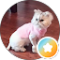 A W Avatar