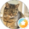 Rita Zielinski Avatar
